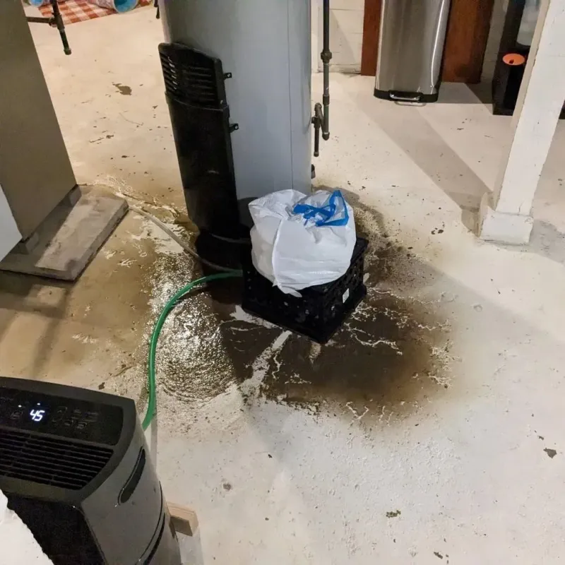 Sewage Backup Cleanup Service in Tinton Falls, NJ